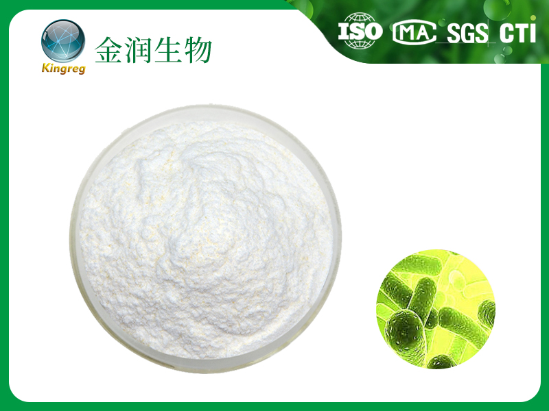 嗜酸乳杆菌