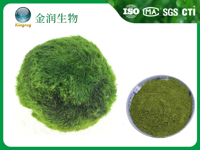 蛋白核小球藻粉